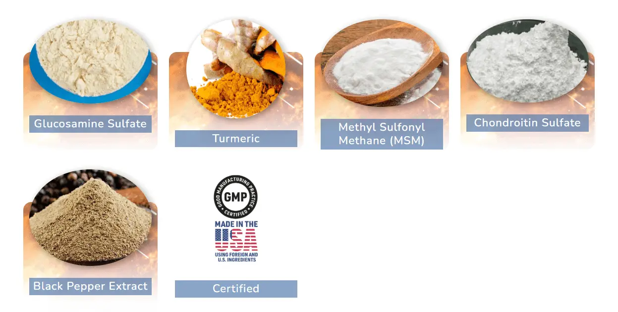 MoveWell Daily Ingredients